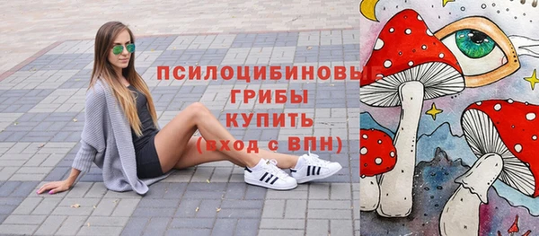 мяу мяу мука Белокуриха